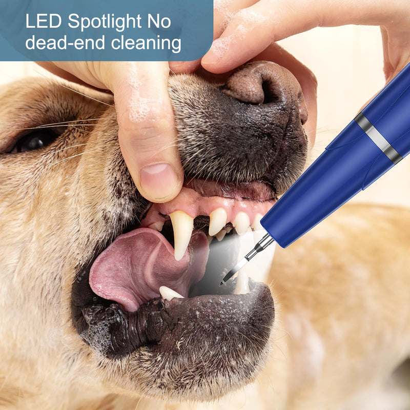 Upgraded Plaque Remover for Teeth, Electric Pet Teeth Cleaning Kit, USB Charging Dog Tooth Brushing Kit, 5 Modes, IPX6 Waterproof Pet Ultrasonic Toothbrush Cleaner for Dogs Cats (Blue) Blue