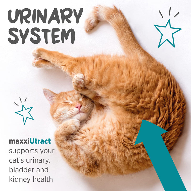 maxxipaws maxxiUtract Urinary & Bladder Support - Powder Supplement for Cats, 3.2oz 3.2 oz