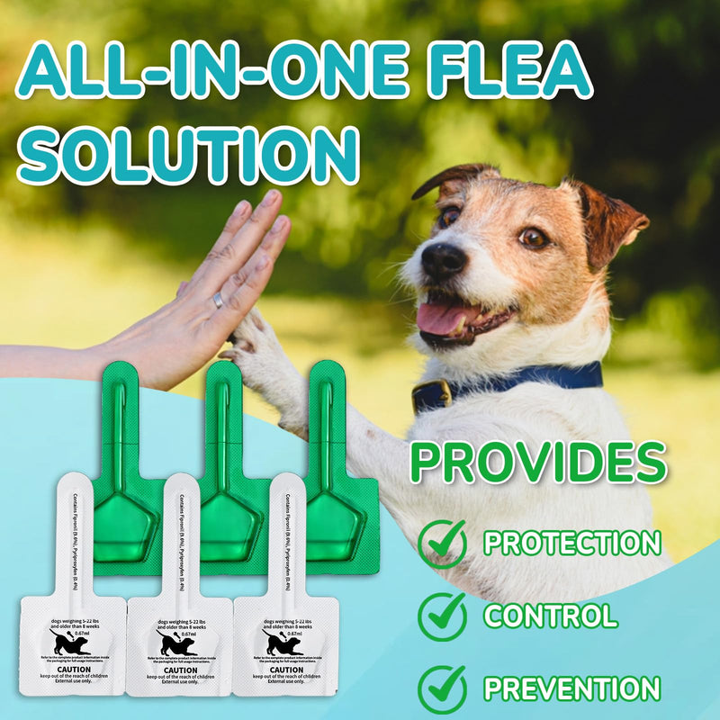 Flea and Tick Prevention for Small Dogs, 6-Month Supply Dog Flea and Tick Treatment Drops, Topical Fast-Acting Dog Flea Treatment for Small Dogs Up to 5 to 22 lbs Small Dogs (5 to 22 lbs)