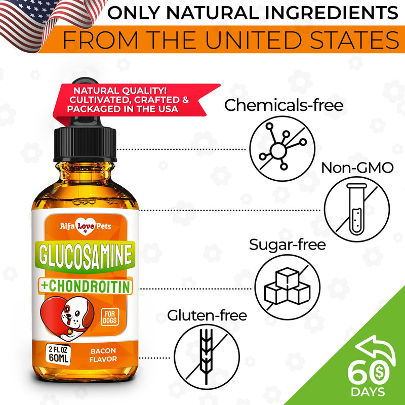 Dog Joint Supplement – Glucosamine Chondroitin for Dogs and Puppies – MSM in The Composition – Care for Joints, HIPS, Muscles, & Ligaments – Bacon Flavor – 2 Oz - PawsPlanet Australia