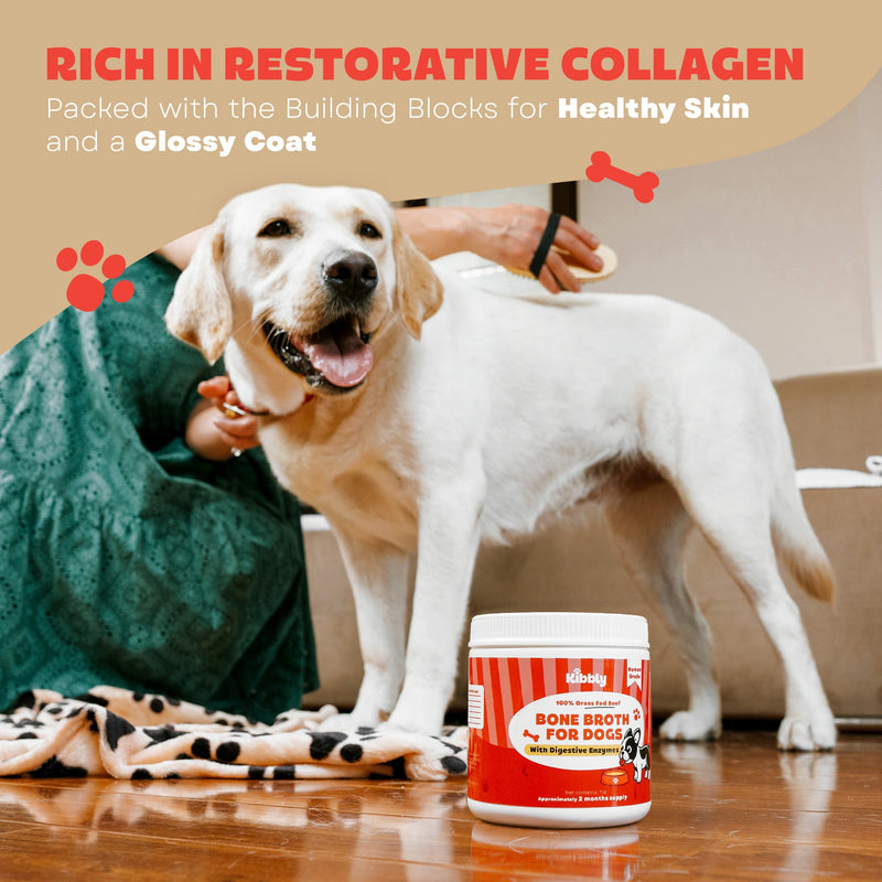 Digestive Enzymes for Dogs (Powder) with Tasty Bone Broth – Probiotic Supplement for Gut Health, Easy Digestion, Less Gas & Nutrient Absorption - 7 oz - 60 Days Supply by Kibbly - BeesActive Australia