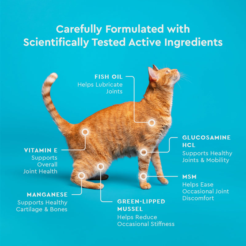 VetIQ Hip & Joint Supplement for Cats, Chicken Flavored Joint Health Supplement with Glucosamine and Green Lipped Mussel for Mobility and Arthritis Support, 3.7oz Standard Strength - 3.7oz