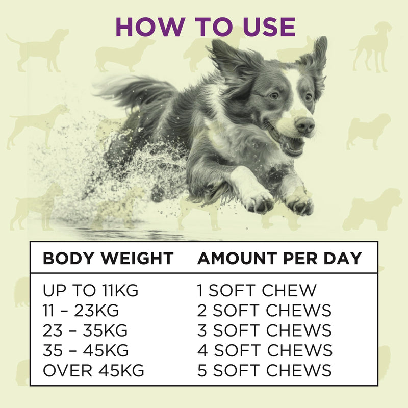 Hip & Joint Treats For Dogs - Stiffness, Strength, Mobility & Flexibility - Joint Supplement With Glucosamine, MSM, Chondroitin, GLM & Devils Claw - Perfect for Small, Medium & Large Dogs