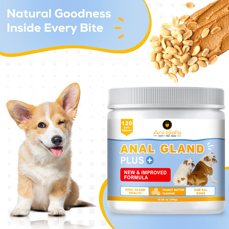 XL Pack - Ani-Safe Anal Gland PLUS Dog Treats for Digestive Pro + Postbiotic - Gut Health, Sensitive Tums, Scooting, Loose Stools, Smelly, Itchy Ears, Enzymes Great for all dogs 120 300g