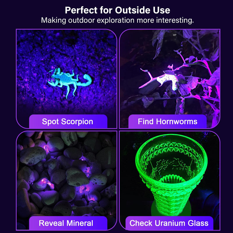 Escolite UV Flashlight Black Light, 100 LED 395 nM Ultraviolet Flashlights UV blacklight Detector for Dog Urine, Pet Stains and Bed Bug, Matching with Pet Odor Eliminator - BeesActive Australia