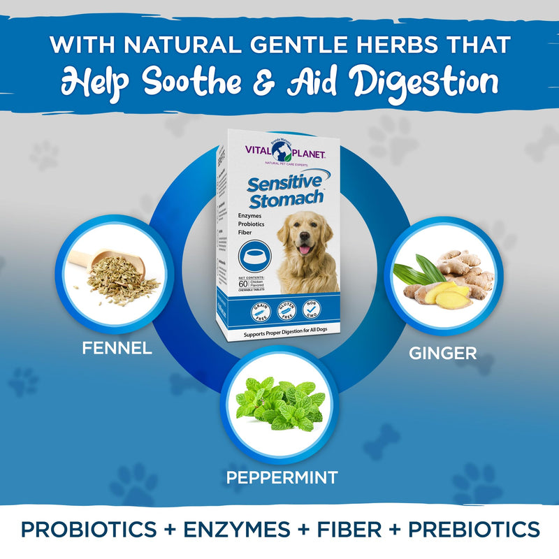 Vital Planet - Sensitive Stomach for Dogs with Enzymes, Probiotics and Fiber, Natural Digestive Support for Upset Stomach with Fennel, and Peppermint, 60 Chicken Flavored Chewable Tablets - PawsPlanet Australia