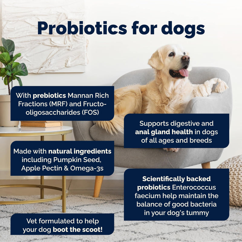 Glandex For Dogs UK - 30 Soft Chews - Vet-Formulated Anal Gland Support for Digestive Health - With Probiotics for Dogs, Omega-3s, Pumpkin & Fibre - Dog Probiotics for Gut Health - Boot The Scoot Chicken