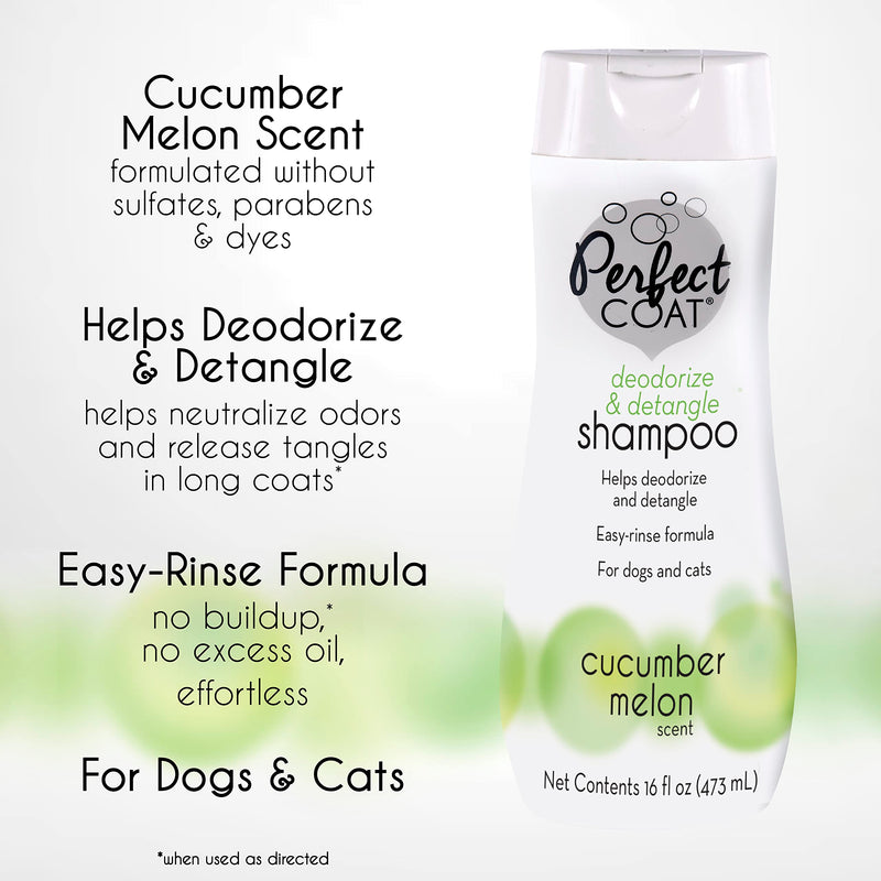 Detangle & Deodorize Shampoo - BeesActive Australia