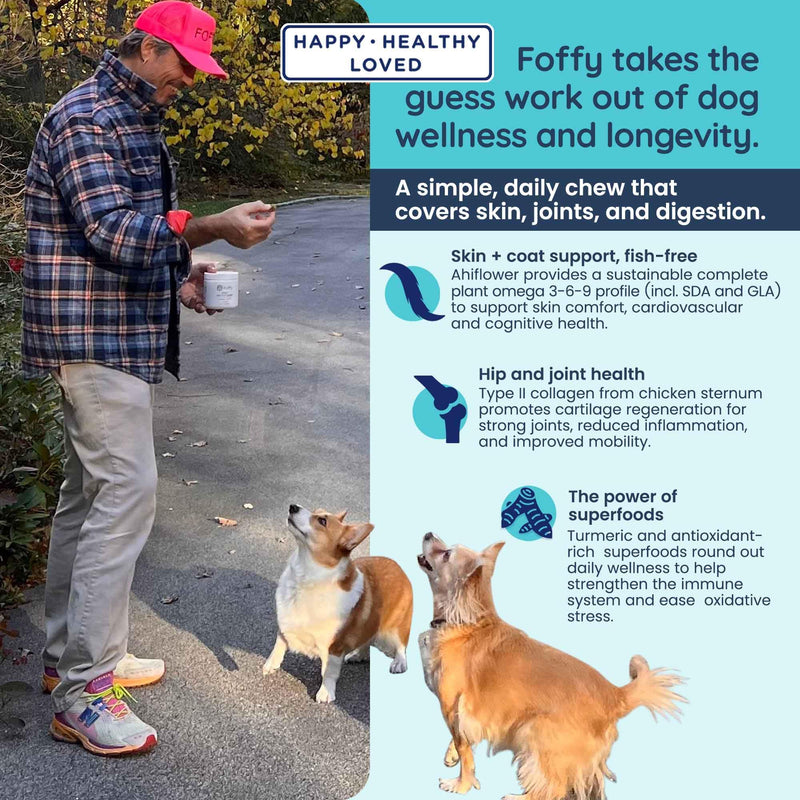 Foffy Daily Hip & Joint Multivitamin Soft Chew for Dogs with Superfoods, Probiotics, Plant-Based Omegas, kollaGen II-xs - Calms Skin, Reduces Inflammation, Improves Mobility & Promotes Longevity