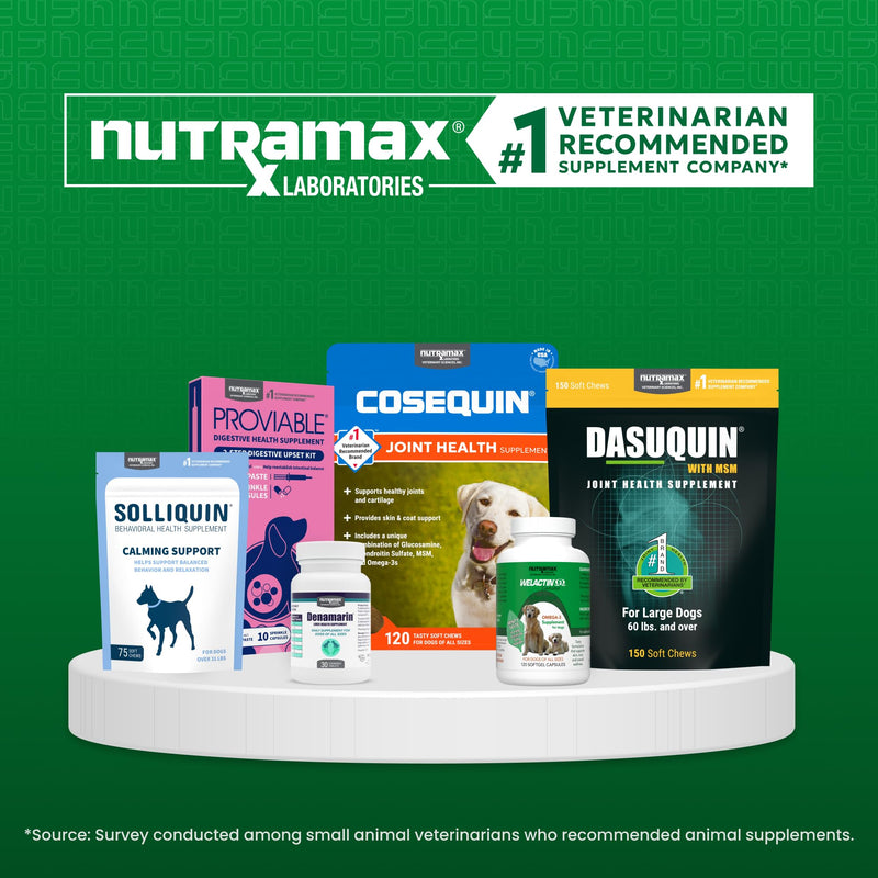 Nutramax Welactin Omega 3 Fish Oil for Dogs, Skin and Coat Health Supplement, Plus Joint, Immune, Kidney, and Brain Support, Premium Omega 3 Fatty Acids, For Dogs, 16 Ounce Liquid 16 oz (480 mL)