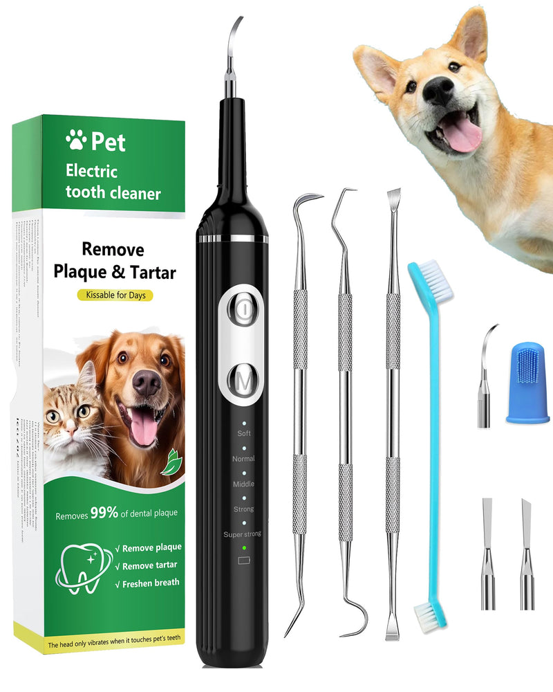Stim-U-Dent Dog Plaque Remover for Teeth, Pet Teeth Cleaning Products for Tartar & Plaque Off, with LED-Light, Dog Toothbrush for Dental Care, Finger Toothbrush Black 1 count (Pack of 1)
