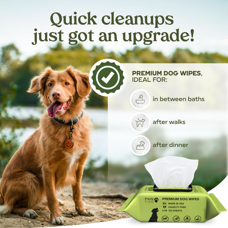 Pawfume Dog Wipes 100 Count, Pet Wipes – Hypoallergenic & Gentle Dog Wipes for Eyes, Face, Butt, and Paws – Cleaning & Deodorizing, Grooming Tear Stain Wipes for Puppy, Adult Dogs & Cats Pack of 1 - BeesActive Australia
