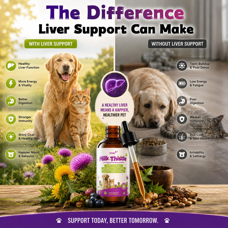 Milk Thistle for Dogs & Cats,Liquid Liver Supplement for Dog,Liver Detox &Immune,Herbal Formula with Antioxidants,Easy-Absorb Drop, Chicken Flavor 2 fl oz