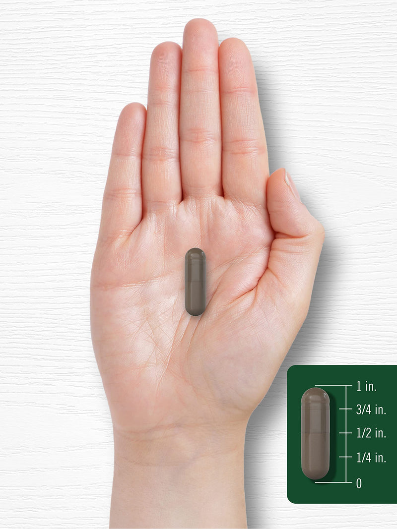 Carlyle Shilajit Capsules | 2000mg | 90 Count | Non-GMO and Gluten Free - BeesActive Australia