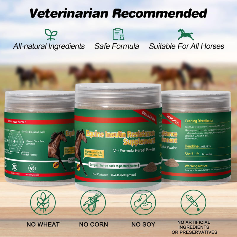 Insulin Resistance Supplement for Horses, Herbal Formulated for High Insulin, Chronic Laminitis, Cushing's Syndrome, Sore Feet, Blood Sugar Reduction & Metabolic Enhancement, 0.44 lbs - BeesActive Australia
