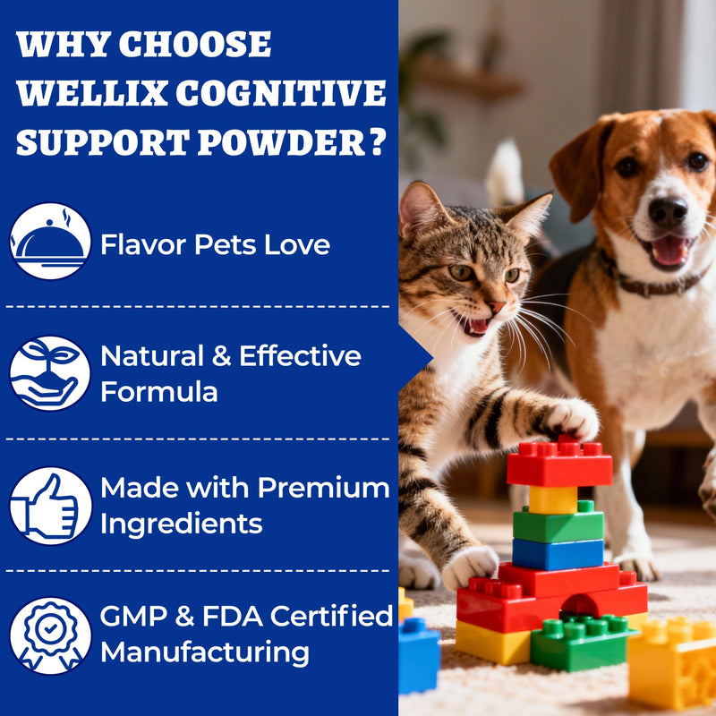 Wellix 7.05oz Natural Cognitive Powder for Senior Dog Supplements - Helps Support Dog Dementia,Boosts Immune System - Lion’s Mane Mushroom,Omega-3,Vitamins for Brain Health Supplements