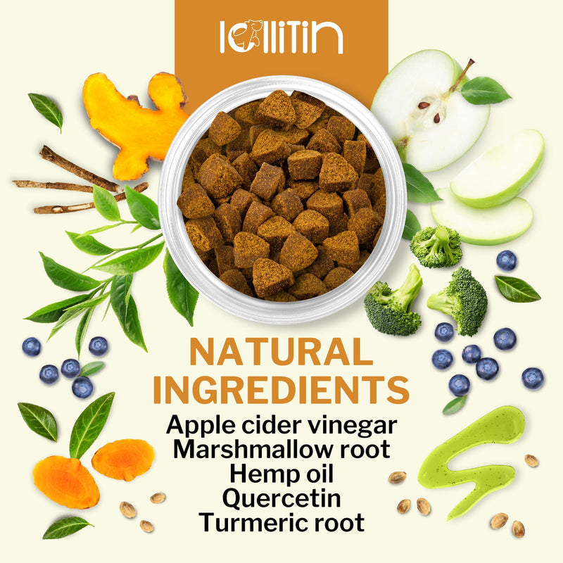 Allergy Relief for Dogs - 120 Chews - Seasonal Allergy, Immune Support, Skin and Coat Health - All Natural, Made in USA - BeesActive Australia