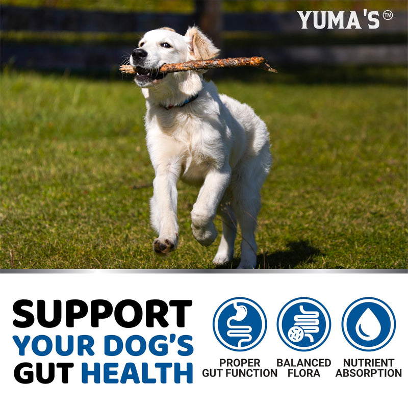 Probiotics for Dogs and Digestive Enzymes - 170 Dog Probiotics Chews - Dog Probiotic - Anti Diarrhea, Upset Stomach & Gas Relief, Canine Prebiotic - Pet Fiber Supplement - Bacon Flavor 170 Chews - BeesActive Australia