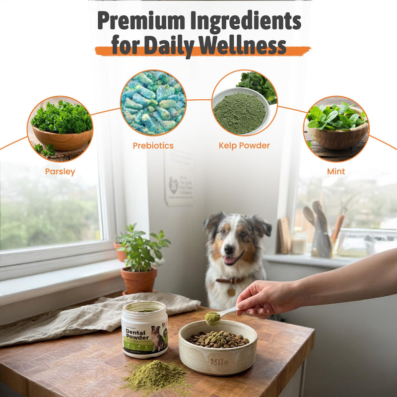 Dental Powder for Dogs & Cats – Freshens Breath, Reduces Plaque, Prevents Tartar – with Natural Herbal Ingredients & Prebiotics – Boosts Oral Health for Pets – 150g (5.29oz)