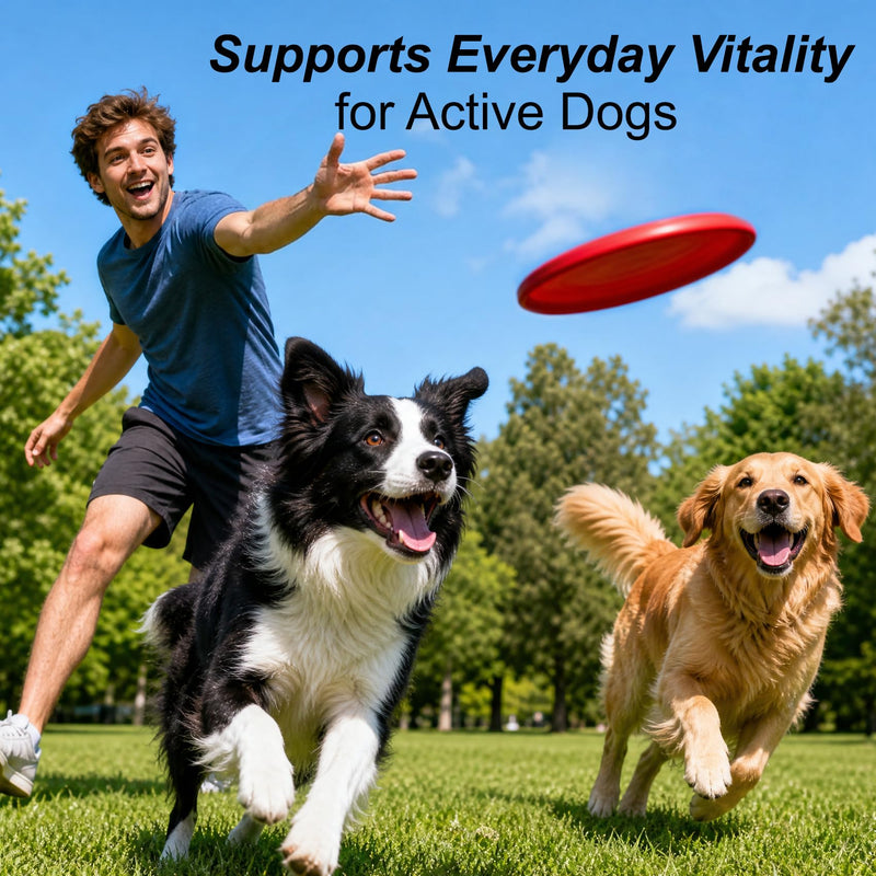 Taurine for Dogs Amino Acid Liquid Supplement for Heart & Muscle Function, Vision, Energy Balance & Physical Stability