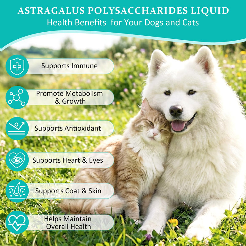 Immune Support Liquid Supplement for Cats and Dogs, Supporting the Immune Systemand and Anti-oxidative Stress,Contains Astragalus, L-lysine, Taurine, and Vitamin C,2 FL Oz