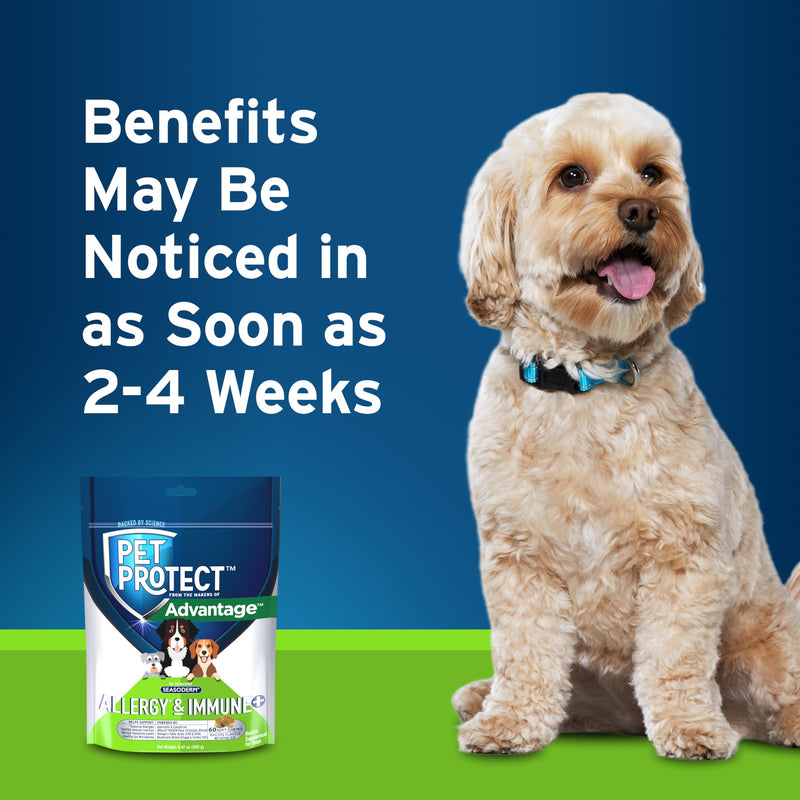Pet Protect Dog Allergy* & Immune+, Itchy Skin Support, Vet-Formulated Seasoderm, Bacon-Flavored Soft Chews (60 Count)