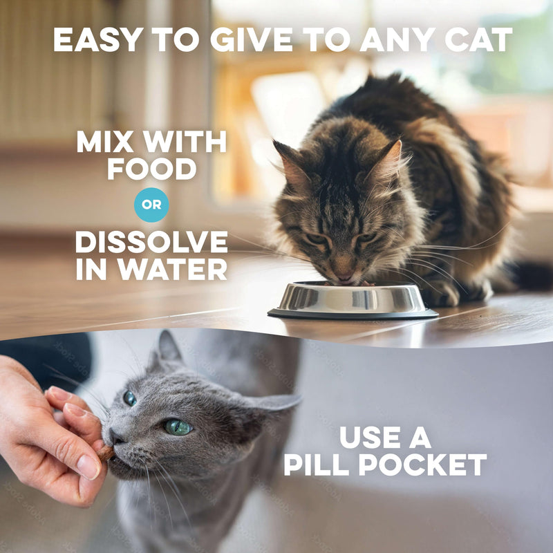 Cat Dental Care Supplement for Bad Breath, Tartar & Gum Support - Natural Cat Teeth Cleaning Oral Tablets Provide Eating & Gum Comfort, Teeth Wellness and Plaque Control, Tiny Dissolvable 400 Pills 1-Pack