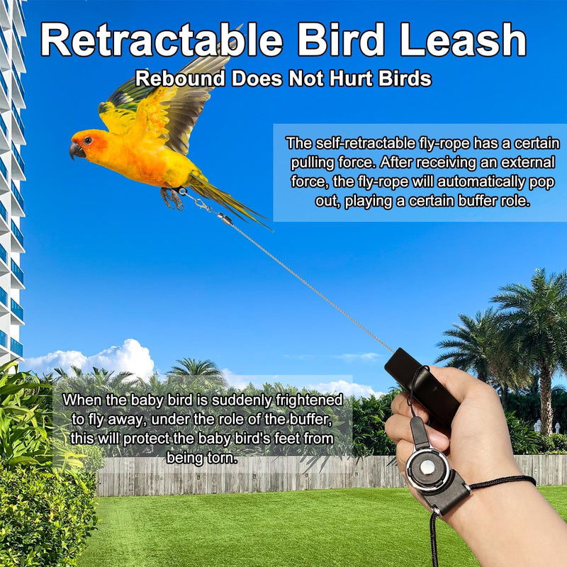 Bird Leash,Bird Harness,Retractable Anti-Bite Parrot Harness,with 3 Different Sizes of Soft Foot Ring,for Birds Outdoor Flight Training,for Budgies,Cockatiels,Psittacula Longicauda,Mini Macaws,6.5Ft - BeesActive Australia