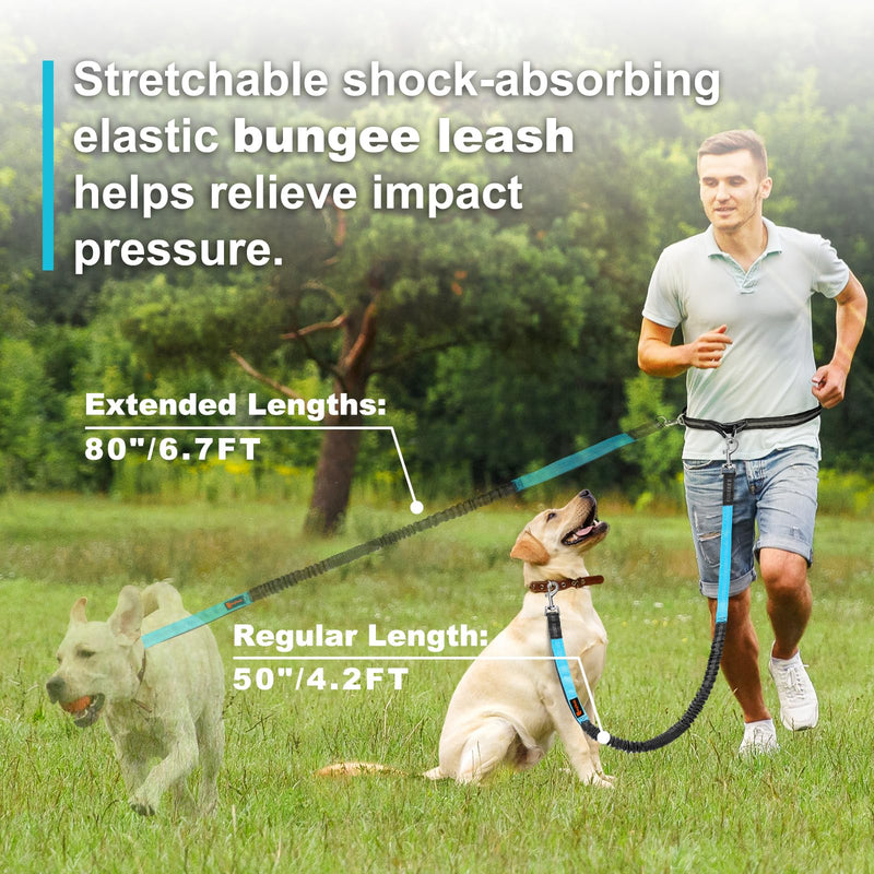 Laqibak Hands Free Dog Leash, Adjustable Waist Leash for Dog, Handle Bungee 4.2-6.7 Feet Long with Reflective Stitches for Walking Hiking Running, Fits 26"- 43" Waist, Black & Blue Black+Blue