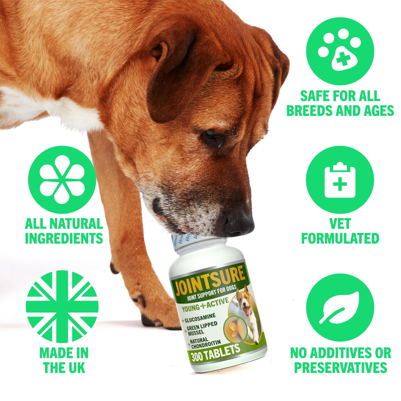 JOINTSURE YOUNG & ACTIVE Dog Joint Supplements for Dogs and Puppies - Pack of 120 Tablets - Supports Mobility and Prevents Joint Stiffness - High Glucosamine for Dogs. Dog Supplements