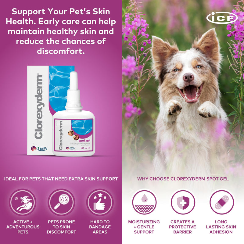 ICF | Clorexyderm Spot Gel | Advanced Cat & Dog Skin Care Gel for Itchy Skin & Wound Relief | Soothes and Moisturizes Irritated Skin | Ideal for Paws, Skin Folds, and Localized Issues 100 ml (Pack of 1)