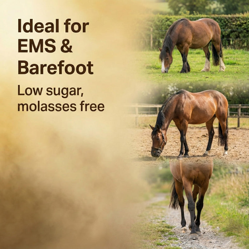 Original | Rapid stiffness relief for Laminitis Prone Horses | Intensive Horse Supplement | Magnesium, Boswellia & Bromelain Powder | Equine Mobility & Hoof Comfort | Molasses Free Low Sugar 250g | 1 Months Supply