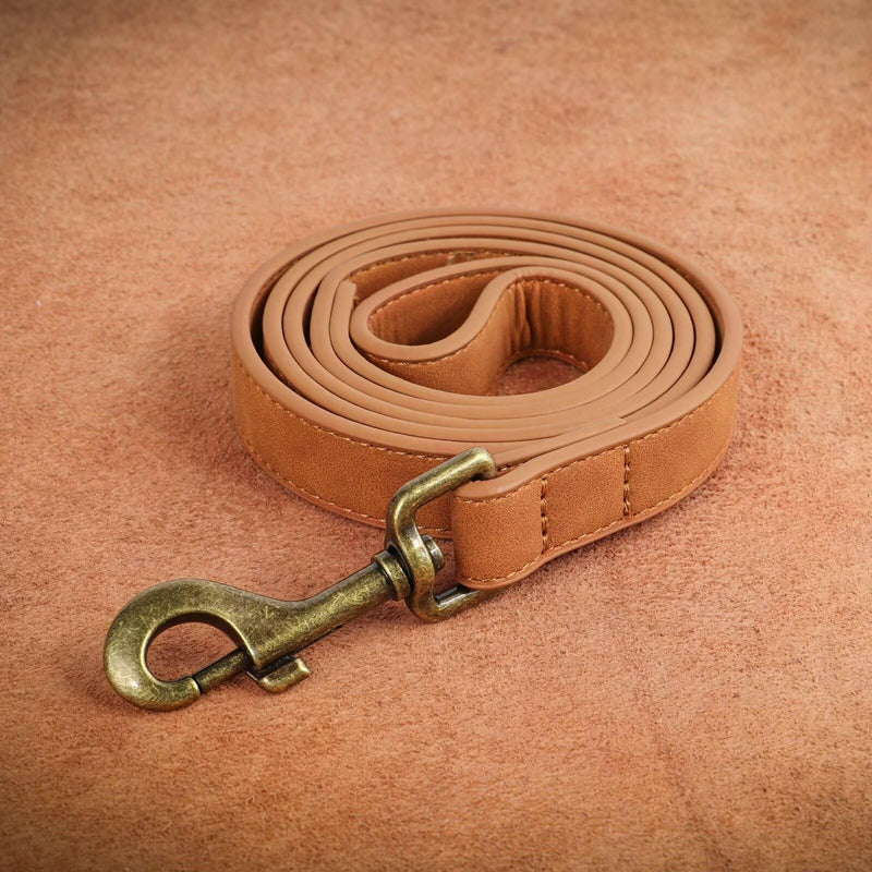 Didog Leather Dog Leash, Colorful Heavy Duty Dog Leash 4ft, Strong and Durable Leather Leash, Walking and Training Dog Leashes for Small Medium Dogs,Light Brown Light Brown - BeesActive Australia