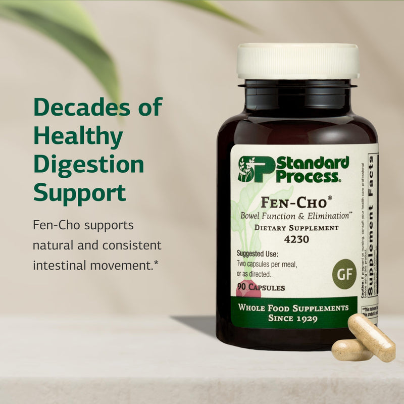 Standard Process Fen-Cho, Digestive & Gut Health Supplement, 90 Capsules | Digestive and Gut Health Supplement with Fenugreek and Collinsonia Root, Gluten-Free, Non-Dairy and Non-Soy