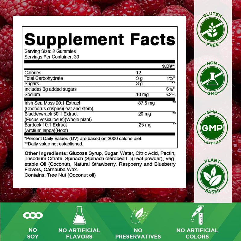 Vitamatic Sea Moss Gummies with Bladderwrack & Burdock, 60 Gummies - 2 Pack | Premium Botanical Blend for Immune Support*, Natural Raspberry Flavor, Vegan, Non-GMO, Gluten Free.