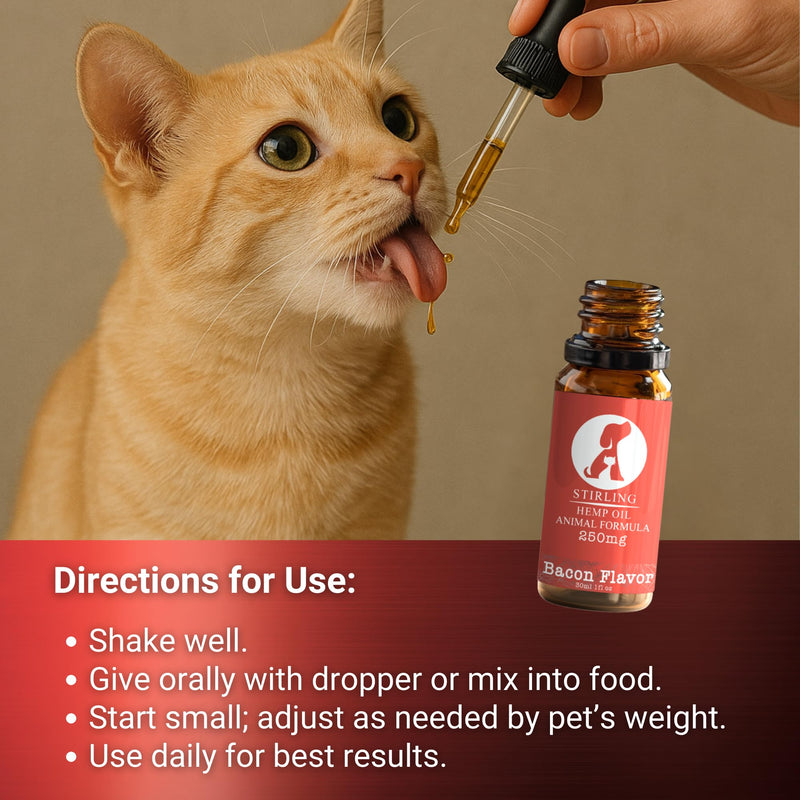 Stirling Powerful Hemp Oil for Dogs and Cats - Helps Relieve Pain and Sore Muscles - Reduces Dog and Cat Separation Anxiety - Calming - Relief - No Drowsiness - 250mg