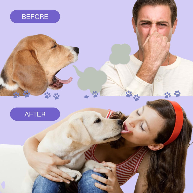 2Pcs Dental Care Spray for Dogs and Cats, Eliminate Bad Breath, Minimize Tartar and Plaque Buildup, Supports Gums Oral Health, Dental Spray with Probiotics, Fresh Breath, No Brushing(100ml)