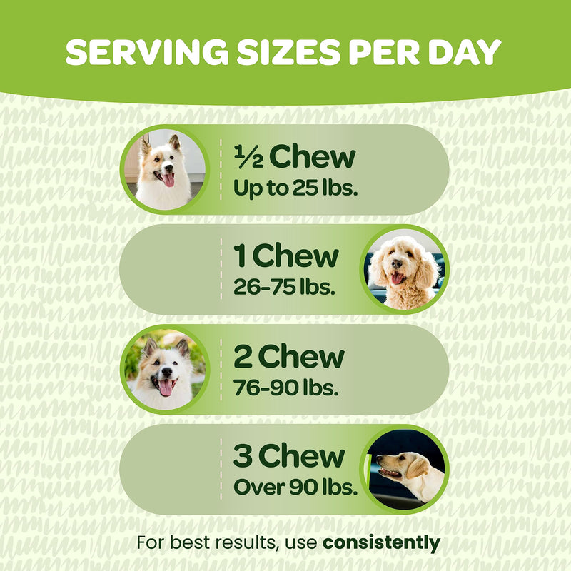 Probiotic Chews for Dogs Gut Health | Tasty Pre and Probiotics for Dogs Digestive Health with Pumpkin Dog Probiotics and Digestive Enzymes | NASC Certified & Made in The USA | 90 Chews 90 Count (Pack of 1) - PawsPlanet Australia