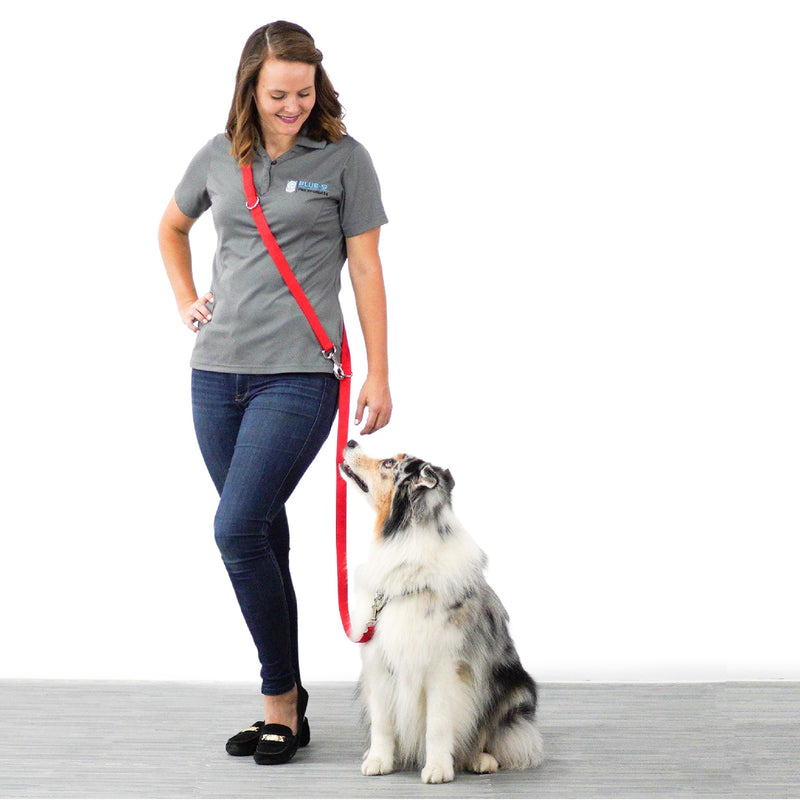 Blue-9 Multi-Function Hands Free Dog Leash, Double Attachment 6 Foot Adjustable Lead for Obedience, Running, and Agility Training, Made in The USA, Hot Pink, Small/Medium Small Medium - BeesActive Australia