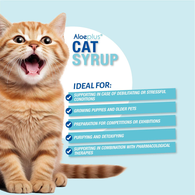 Cat Aloe Syrup 100ml - Cat Immune Support, Cat Supplement Energy, Detoxifying with Organic Aloe Arborescens, Ideal as Cat Stress Relief and Restorative for Elder Cats and Kittens