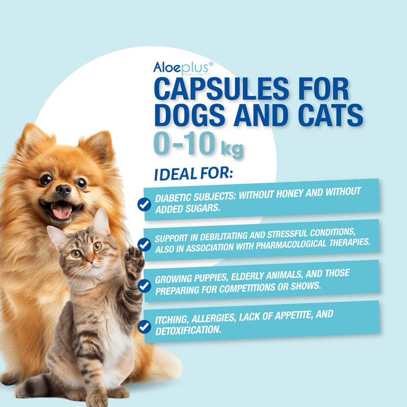 Cats & Dogs Capsules—an Energetic, detoxifying Supplement with Organic Aloe Arborescens. Supports Immunity for Puppies, Adult and Senior Pets, Helps Improve Appetite. 60 Capsules