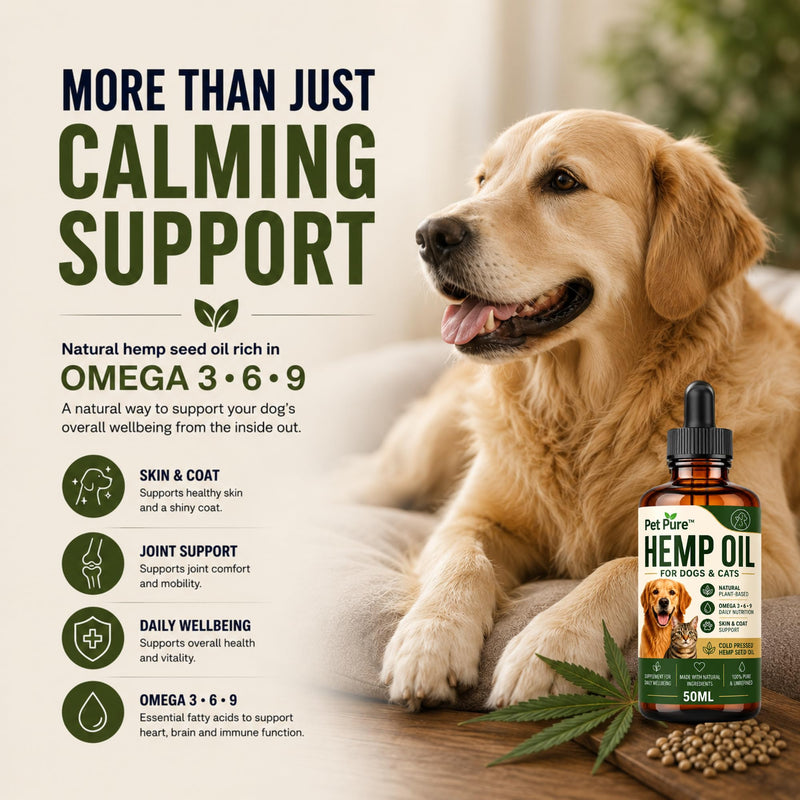 Hemp Oil for Dogs & Cats – Pet Pure™ 50ml – Hemp Oil for Dogs UK – Helps Support Calm Behaviour, Skin, Coat & Joint Health – Plant-Based Omega 3, 6 & 9 Supplement