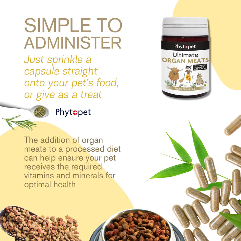PhytoPet Ultimate Organ Mix | Freeze-Dried Beef Organ Multivitamin | Bioavailable Nutrition Booster for Pets | 90 Capsules | 30-Day Supply
