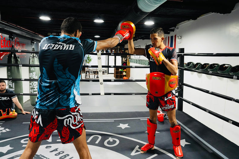 Boxing Pads Curved Focus Mitts, Microfiber Leather, Hook and jab Training Pads, Adjustable Strap Ventilated, MMA Muay Thai Kickboxing Coaching Gear Martial Arts