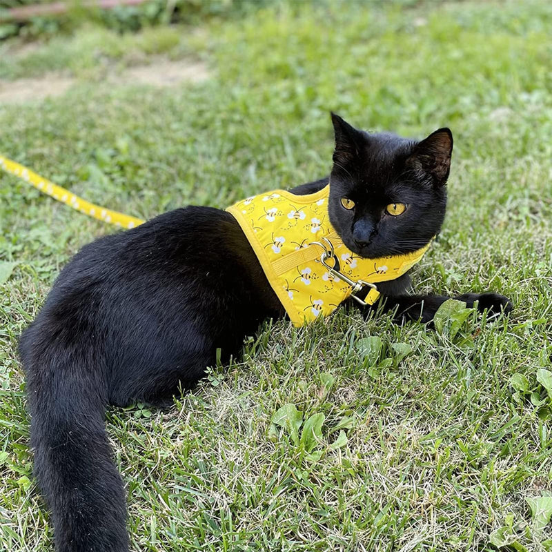 Cat Harness with Leash and Collar for Walking - Escape Proof with 59 Inches Leash - Adjustable Soft Vest Harnesses for Medium Large Cats Bee - BeesActive Australia