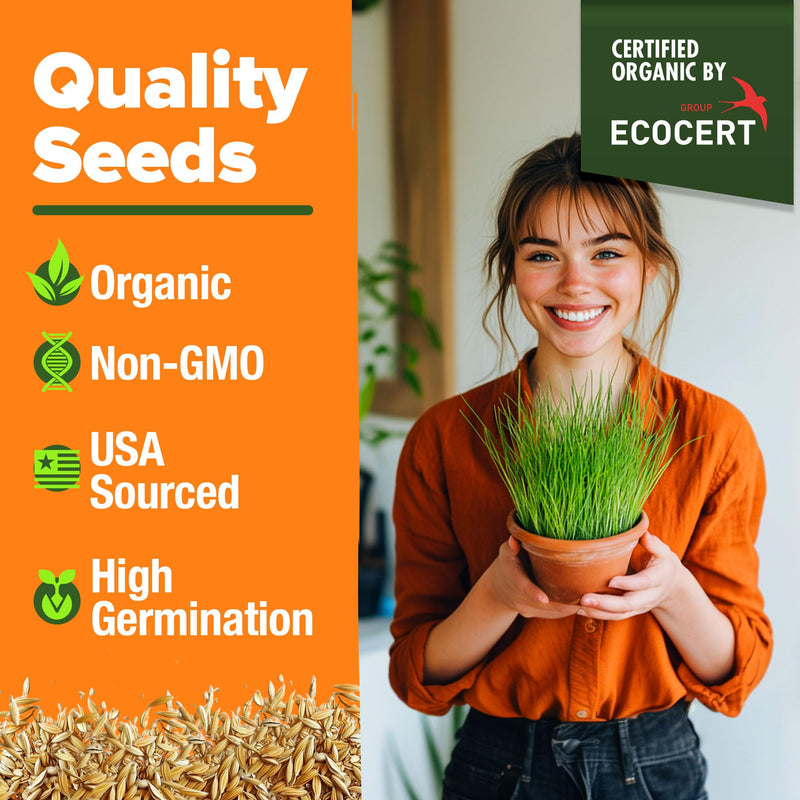 HOME GROWN Organic Cat-Grass Seed Mix (Oat & Barley) – 4 oz – Easy Indoor Planter
