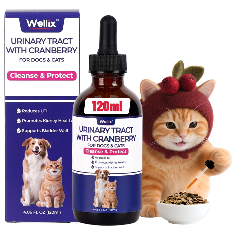 4oz Wellix Natural Cat & Dog UTI Treatment Drops,Cat & Dog Urinary Tract Infection Treatment - Cranberry & D-Mannose for Dogs & Cats - Kidney Health Supplement - BeesActive Australia