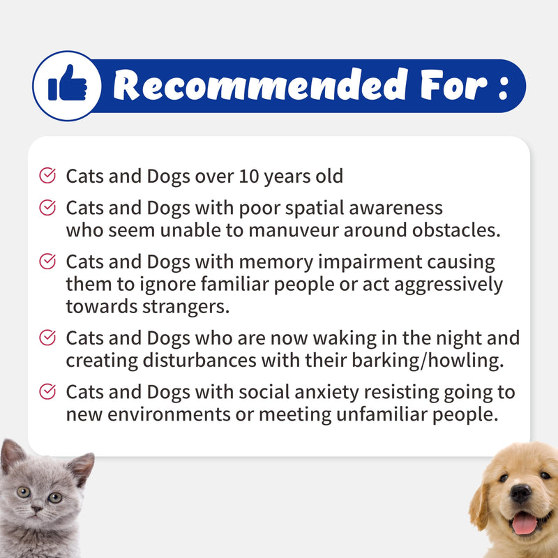 Recogry Liquid Cognitive Disorder and Brain Support for Dogs and Cats with Astaxanthin, Phosphatidylserine, Alpha GPC, DHA, Olive, Coconut, Sage, Turmeric, Ginger (90ml) - BeesActive Australia