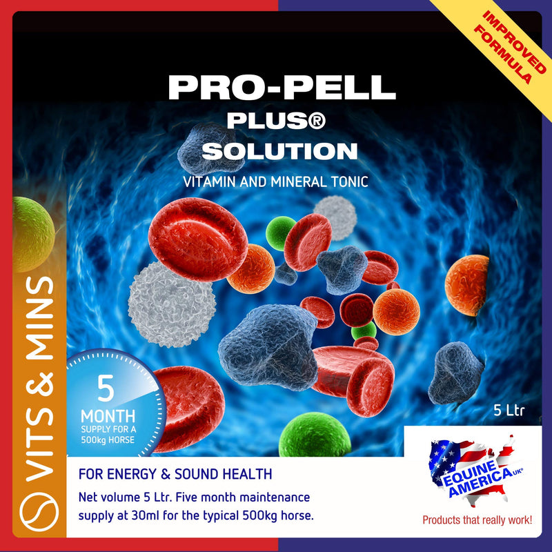 Equine America Pro-Pell Plus | Premium Ready To Use Horse & Pony Supplement | For Energy & Sound Health, 5 Litre 5 l (Pack of 1)