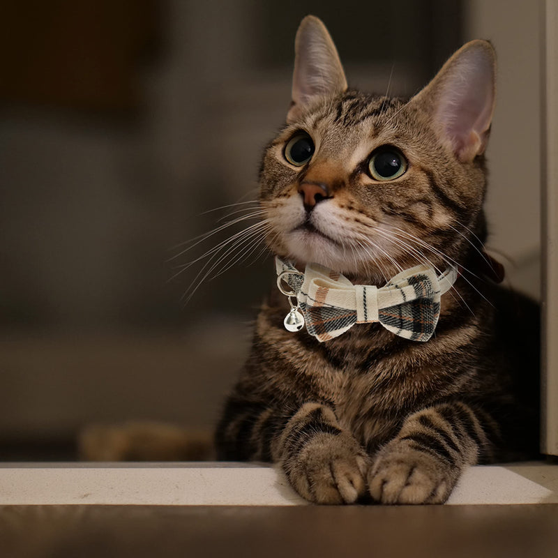 Breakaway Cat Collars - Bow Tie Cute Cat Collar with Bells for Girl Boy Cats, Puppy - Plaid Soft Adjustable Pet Collars Cat Accessories neck 7.8"-10.5" beige&brown - BeesActive Australia